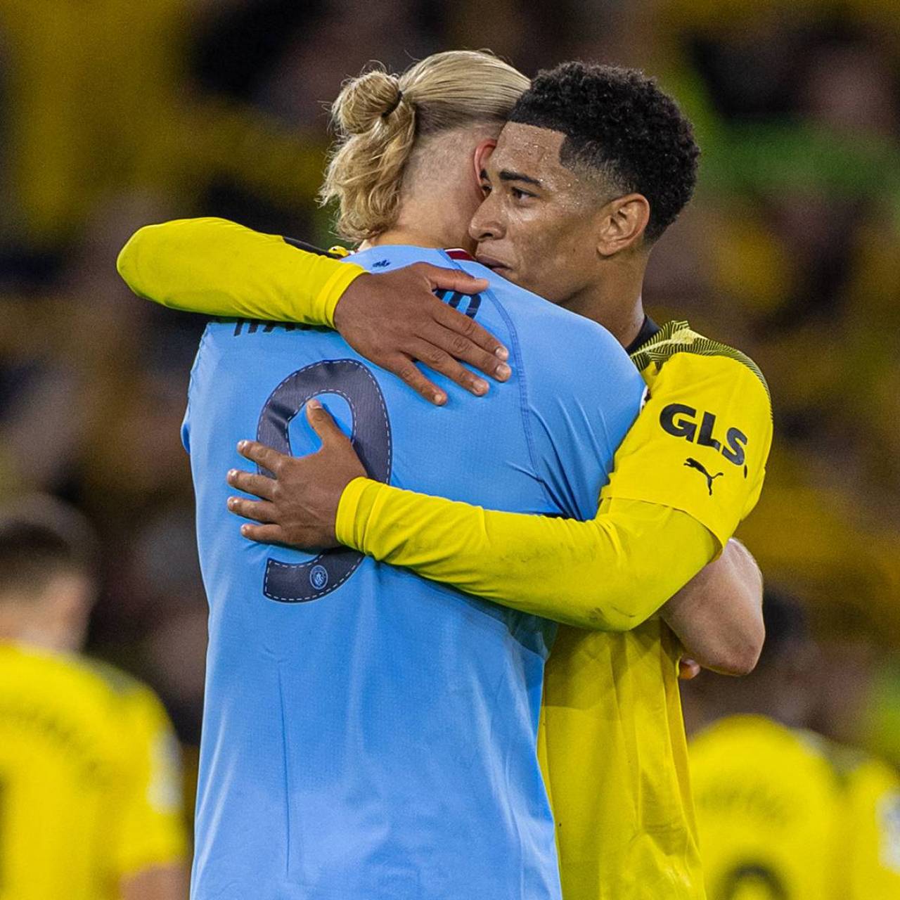 最不希望面 最不希望面